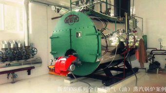 金信達(dá)鍋爐公司隆重推出新型能源及清潔燃料鍋爐 高效.環(huán)保.智能運(yùn)行.省心省力